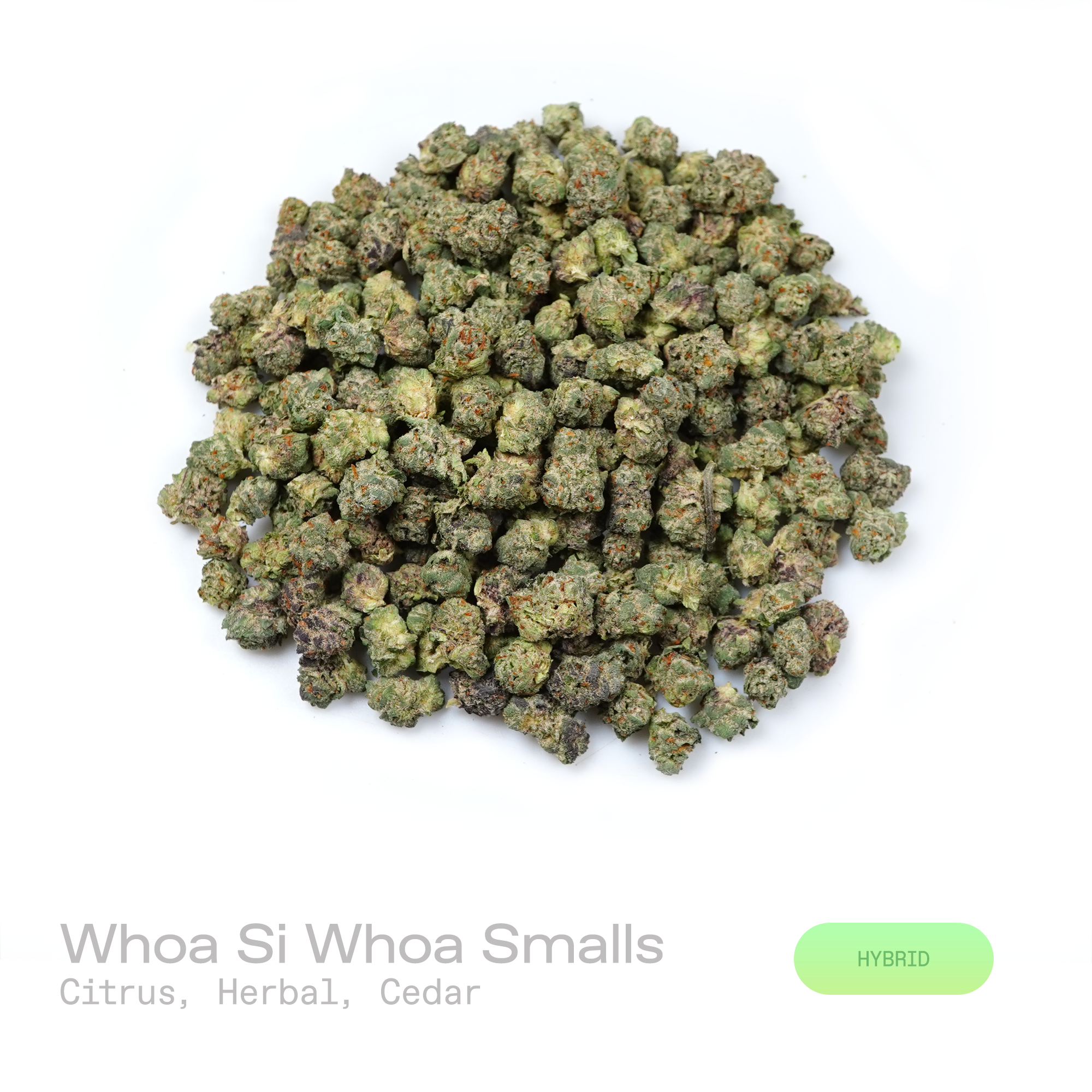 PUFFY Whoa Si Whoa (smalls) is a balanced hybrid THCa strain emerging from the distinguished pairing of  Do-Si-Dos and The White. The aroma opens with bright citrus notes layered over earthy herbal undertones and a subtle cedar finish. Visually, dense olive green buds with purple hues and fiery orange pistils are coated in sticky trichomes. Consumers often report feeling euphoric, relaxed, uplifted, calm, and creatively inspired, offering a balanced experience that promotes positivity, tranquility, and ment