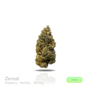 PUFFY Zereal is a well-balanced hybrid THCa strain born from the flavorful cross of Cereal Milk and ZKZ. The aroma is peppery and invigorating, with fresh herbal notes layered over a deep, earthy richness. Visually, it features dense, frosty, cone-shaped buds in rich green, accented by bright orange pistils and occasional hints of blue or purple. Consumers often report fast-acting effects, beginning with an immediate cerebral uplift. The experience is typically marked by waves of euphoria, happiness, and an