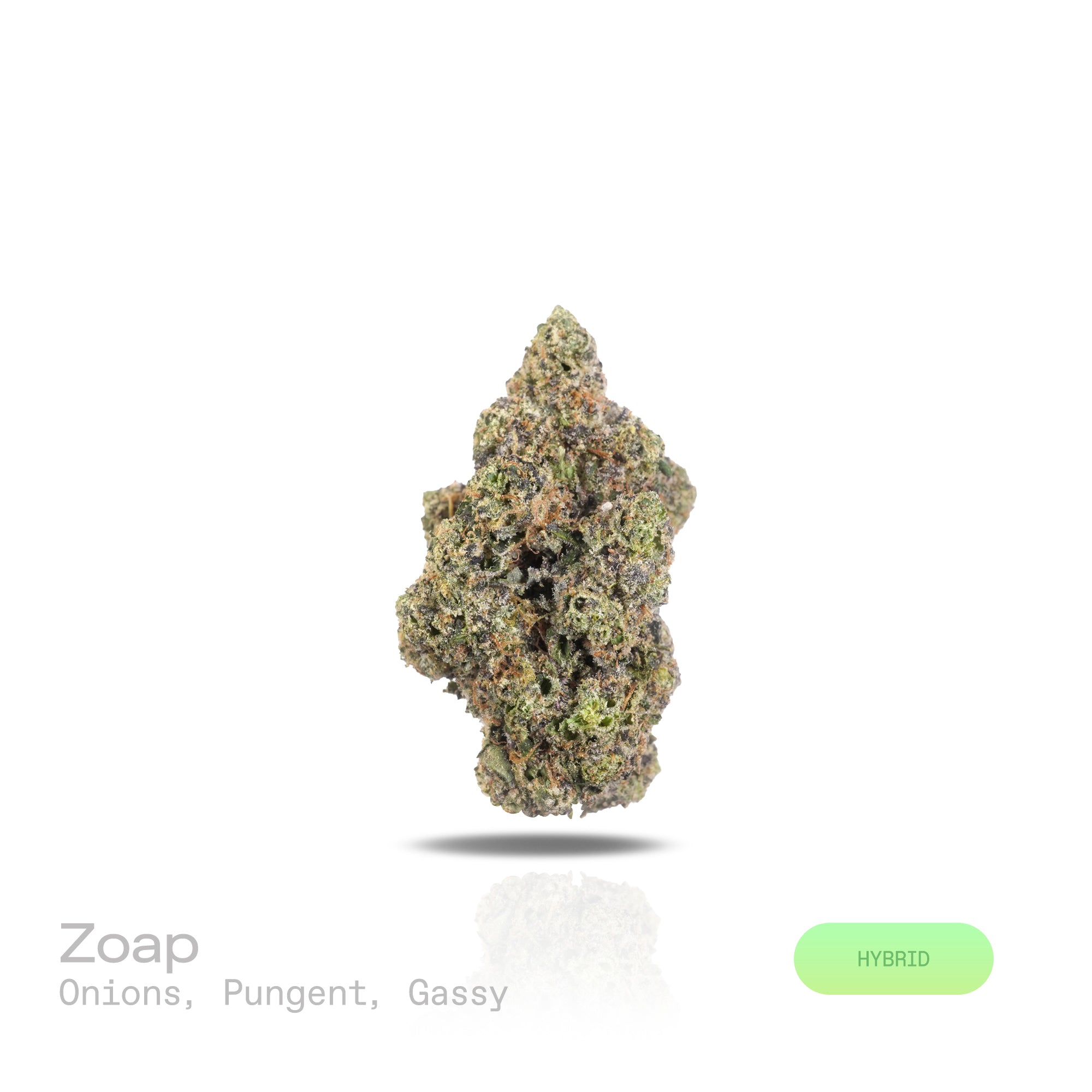 PUFFY Zoap is a balanced hybrid THCa strain born from the exotic blend of Pink Guava and Rainbow Sherbet. The aroma is a bold and distinctive blend of sharp onions, pungent earthiness, and a rich, gassy undertone. Visually, dense earthy green buds with hints of purple are threaded with fiery orange pistils and coated in a sparkling layer of sticky trichomes. Consumers often report a joyful, uplifting euphoria that sparks creativity, followed by gentle body relaxation that enhances comfort, sociability, and 