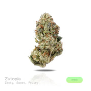 PUFFY Zutopia is a balanced hybrid THCa strain with genetics that have yet to be publicly revealed, leaving its true lineage unknown. The aroma features zesty citrus notes complemented by a sweet, fruity fragrance reminiscent of fresh, ripe fruit. Visually, dense forest green buds with purple hues and fiery orange pistils are coated in sticky trichomes. Consumers often report feeling euphoric, uplifted, focused, and relaxed, with an improved mood and a balanced sense of calm and mental clarity.