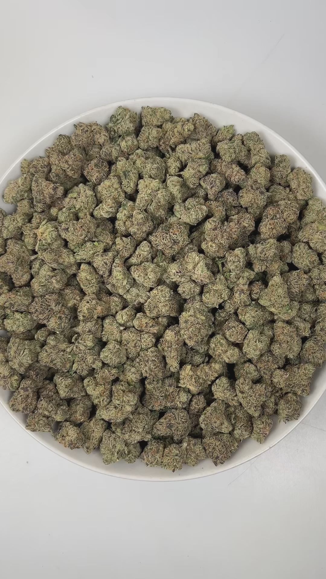 
PUFFY Lemon Cherry Gelato is an indica-dominant  hybrid THCa strain, expertly crafted from a potent cross between Sunset Sherbet and Girl Scout Cookies. The aroma is a lively combination of sweet cherry, playful gassy notes, and bright fruity undertones, creating a vibrant and tantalizing scent profile. Visually, buds are dense and frosty, featuring deep green and purple hues with bright orange pistils and a thick coating of sparkling trichomes. Consumers often report an initial wave of uplifted, happy eup