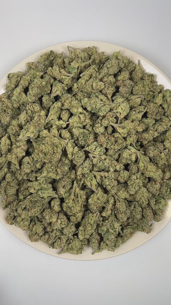 PUFFY Mule Fuel is a balanced hybrid THCa strain crafted from a genetic cross of Lurch and GMO Cookies. The aroma is a bold fusion of diesel and sweet lime, elevated by crisp, refreshing notes of eucalyptus. Visually, dense olive green buds with purple hues and fiery orange pistils are coated in sticky trichomes. Consumers often report a soothing wave of euphoria that gently settles into a deeply relaxing body high, melting away tension while promoting a calm, restful state.