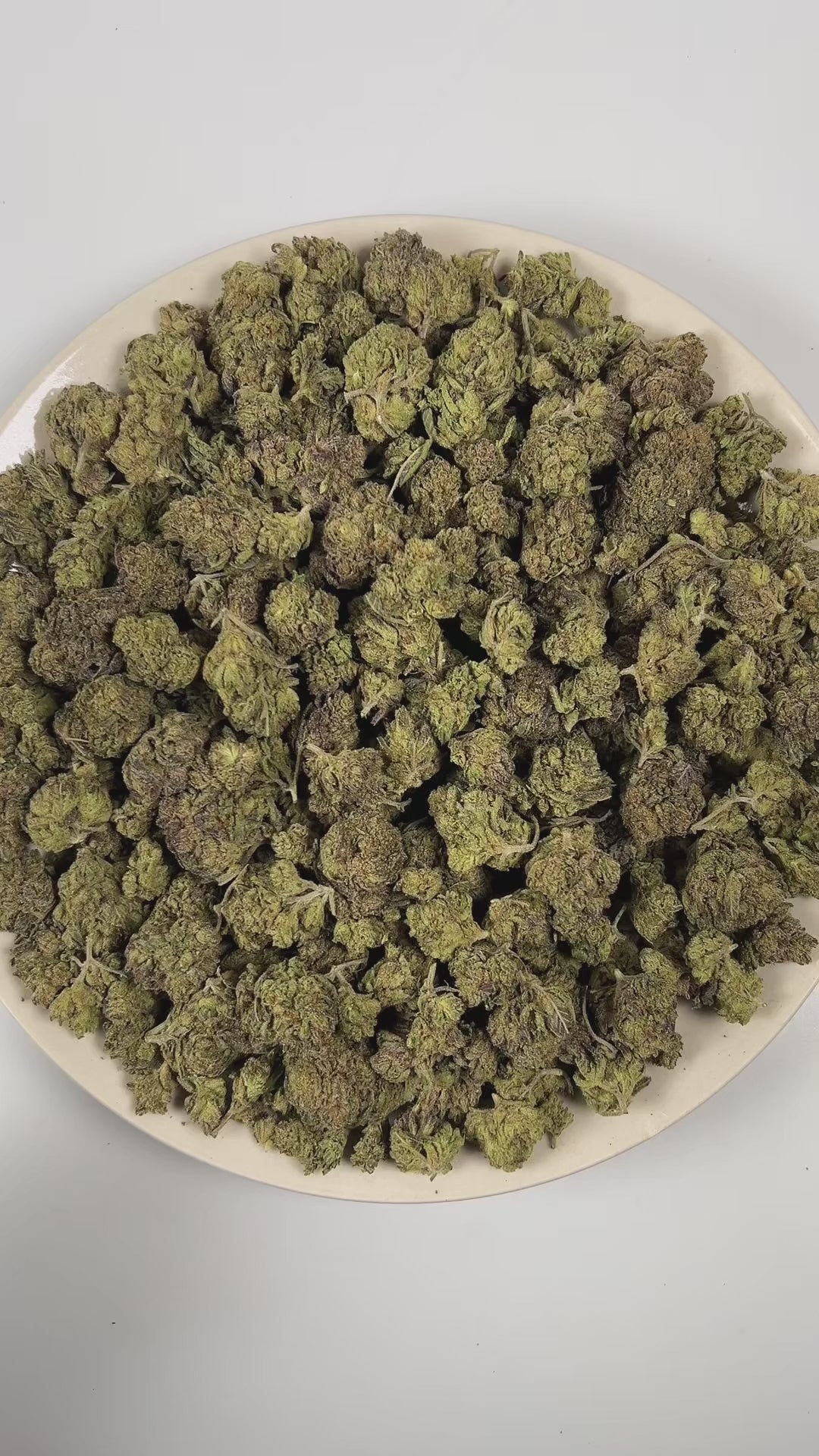 PUFFY Gobbstopper is a balanced hybrid THCa strain meticulously crafted through the expert crossbreeding of Purple Urkle and Sin City Kush. The aroma is a bold blend of candy sweetness layered with sharp ammonia and deep diesel undertones. Visually, the buds are dense, with deep green and purple hues, bright orange pistils, and a sparkling coating of trichomes. Consumers often report a balanced experience of relaxation, euphoria, and uplifted mood, creating a pleasant and enjoyable sensation that can enhanc