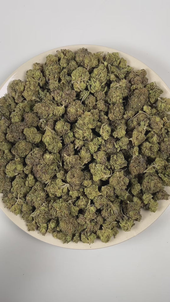PUFFY Gobbstopper is a balanced hybrid THCa strain meticulously crafted through the expert crossbreeding of Purple Urkle and Sin City Kush. The aroma is a bold blend of candy sweetness layered with sharp ammonia and deep diesel undertones. Visually, the buds are dense, with deep green and purple hues, bright orange pistils, and a sparkling coating of trichomes. Consumers often report a balanced experience of relaxation, euphoria, and uplifted mood, creating a pleasant and enjoyable sensation that can enhanc