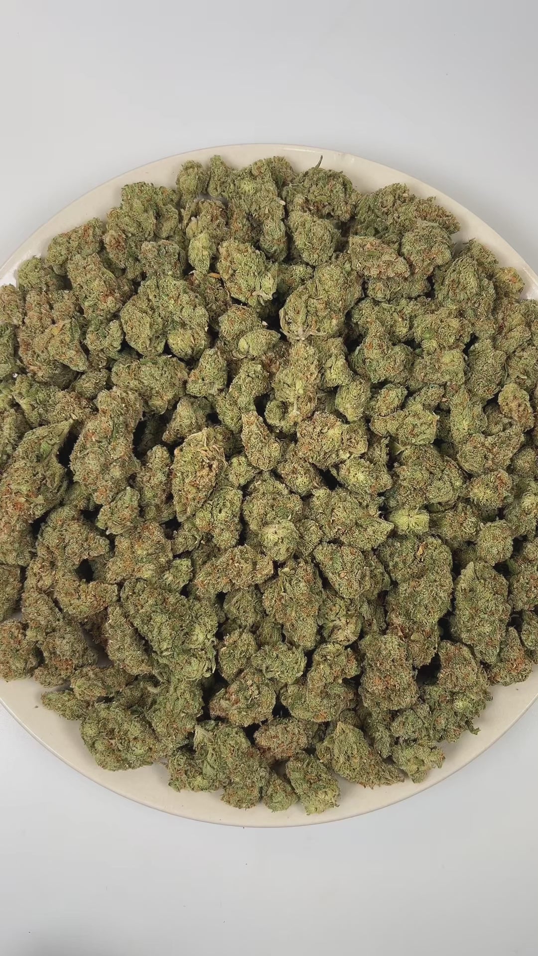 PUFFY Galactic Jack is a sativa-dominant hybrid THCa strain born from the legendary lineage of Jack Herer and Space Queen. The aroma is a sharp blend of chemical undertones, zesty citrus notes, and a hint of ammonia. Visually, the buds feature vibrant green hues accented by fiery orange pistils and a dense coating of frosty trichomes, giving them a sparkling, crystal-like appearance. Consumers often report an energetic, focused high accompanied by a strong sense of euphoria and heightened creativity, often 