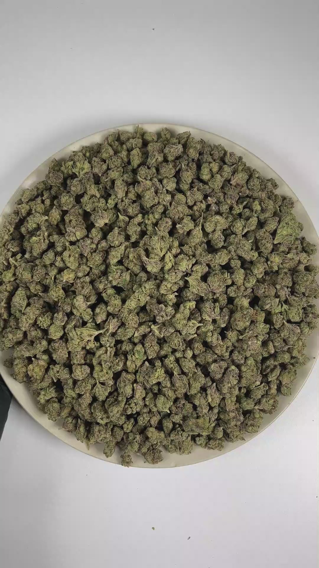 PUFFY Blueberry Gumbo (smalls) is a balanced hybrid THCa strain expertly cultivated from the notable genetics of Blueberry and OG Kush. The aroma is an exquisite medley of luscious candy, succulent berries, and refined fruity notes. Visually, dense forest green buds with purple hues and fiery orange pistils are coated in sticky trichomes. Consumers often report an euphoric and uplifting experience accompanied by a lively, energetic sense of momentum. 