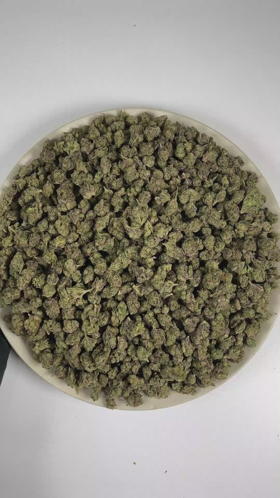 PUFFY Blueberry Gumbo (smalls) is a balanced hybrid THCa strain expertly cultivated from the notable genetics of Blueberry and OG Kush. The aroma is an exquisite medley of luscious candy, succulent berries, and refined fruity notes. Visually, dense forest green buds with purple hues and fiery orange pistils are coated in sticky trichomes. Consumers often report an euphoric and uplifting experience accompanied by a lively, energetic sense of momentum. 