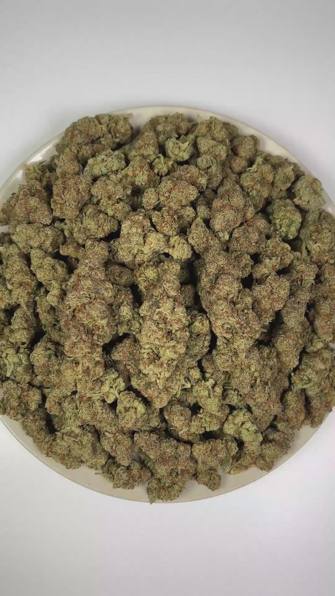 PUFFY THC Bomb is a balanced hybrid THCa strain bred from undisclosed parent genetics, developed specifically to maximize potency and yield rather than maintain a publicly documented lineage. The aroma is a vibrant blend of zesty citrus, crisp pine, and bold, pungent notes. Visually, dense forest green buds with hints of purple are threaded with fiery orange pistils and coated in a sparkling layer of sticky trichomes. The consumers often report a euphoric mental uplift accompanied by a smooth, relaxing body