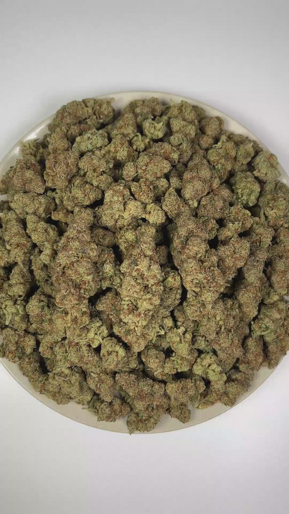 PUFFY THC Bomb is a balanced hybrid THCa strain bred from undisclosed parent genetics, developed specifically to maximize potency and yield rather than maintain a publicly documented lineage. The aroma is a vibrant blend of zesty citrus, crisp pine, and bold, pungent notes. Visually, dense forest green buds with hints of purple are threaded with fiery orange pistils and coated in a sparkling layer of sticky trichomes. The consumers often report a euphoric mental uplift accompanied by a smooth, relaxing body