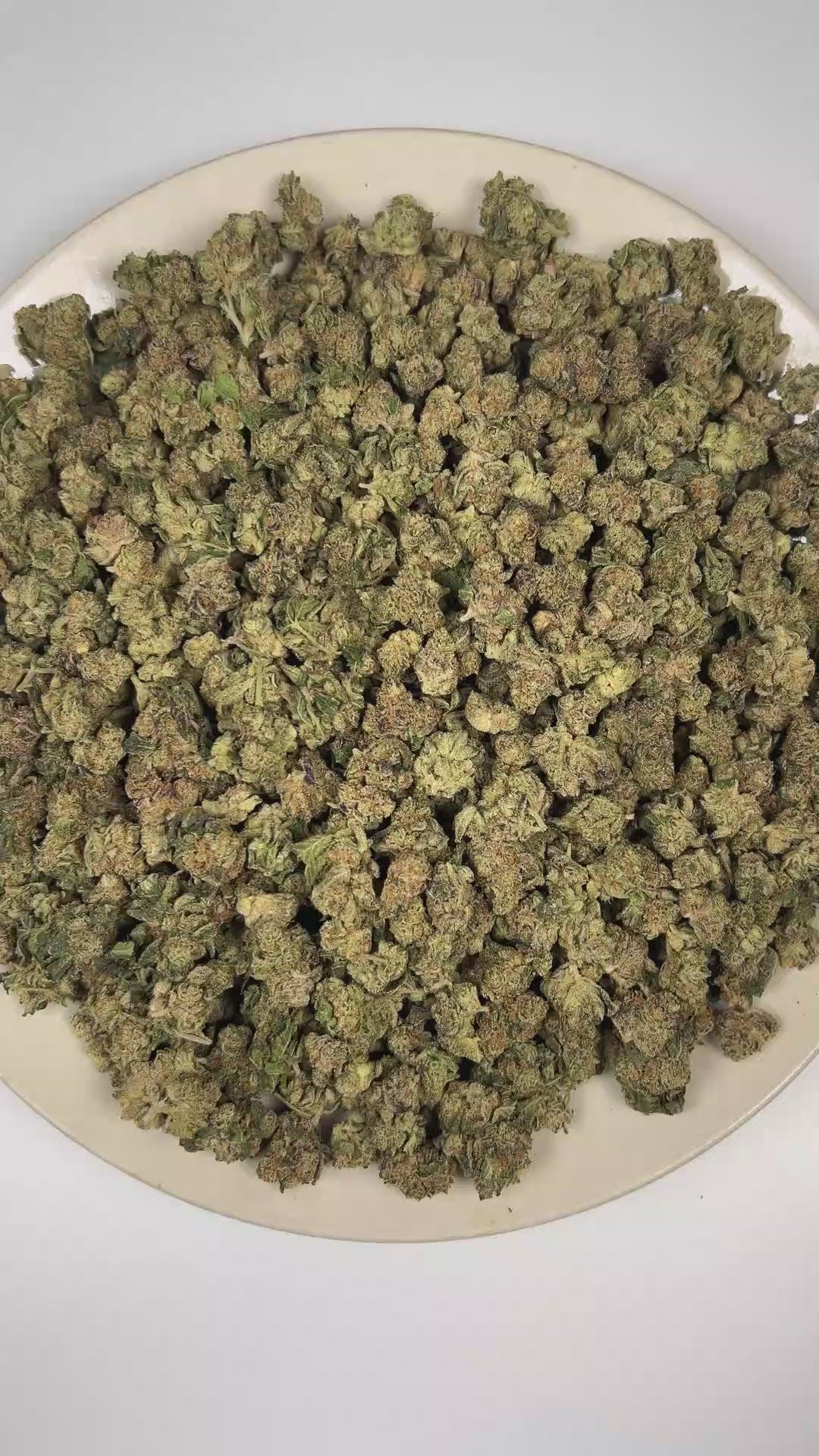 PUFFY Apple Fritter (smalls) is a balanced hybrid THCa strain, born from the flavorful cross of Sour Apple and Animal Cookies. The aroma is a vibrant blend of fruity sweetness and peppery spice, with a smooth pine finish. Visually striking, the dense buds are covered with frosty trichomes, showcasing deep green to purple hues with vibrant orange pistils. Consumers often report a blend of euphoria and relaxation, accompanied by a tingling body buzz, lighthearted giggles, and an overall uplifted mood. 