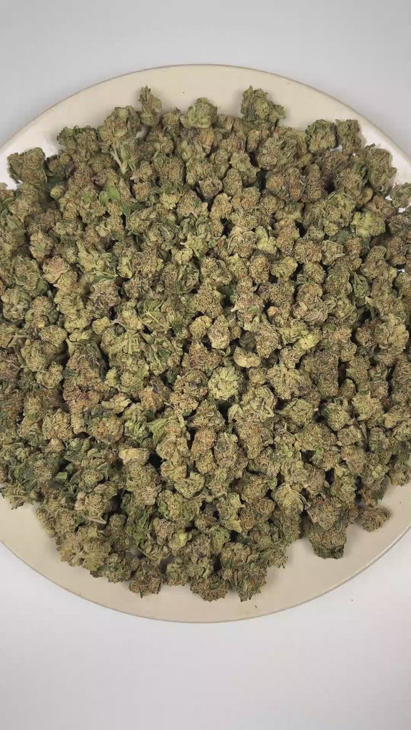 PUFFY Apple Fritter (smalls) is a balanced hybrid THCa strain, born from the flavorful cross of Sour Apple and Animal Cookies. The aroma is a vibrant blend of fruity sweetness and peppery spice, with a smooth pine finish. Visually striking, the dense buds are covered with frosty trichomes, showcasing deep green to purple hues with vibrant orange pistils. Consumers often report a blend of euphoria and relaxation, accompanied by a tingling body buzz, lighthearted giggles, and an overall uplifted mood. 