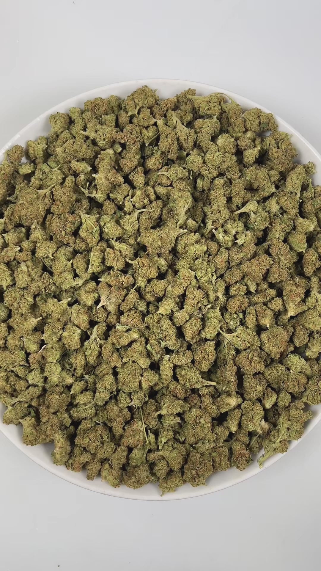 PUFFY The Doctor (smalls) is an indica-dominant hybrid THCa strain born from the complex cross of Great White Shark, Super Skunk, A South India–derived indica variety. The aroma is a rich blend of woody, herbal, and sweet notes, creating a warm and inviting fragrance experience. Visually, dense spring green buds with hints of purple, bright orange pistils, and a thick coating of sparkling trichomes. Consumers often report euphoric and calming effects, accompanied by lighthearted giggles and a noticeable inc