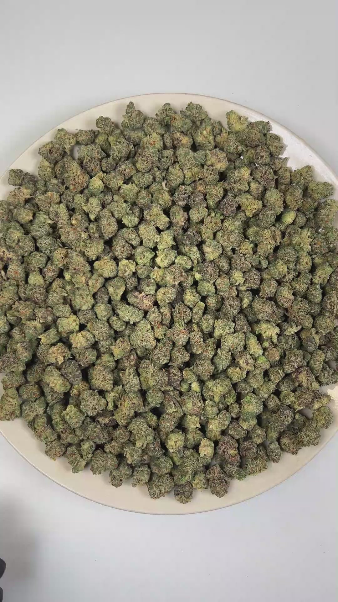 PUFFY Whoa Si Whoa (smalls) is a balanced hybrid THCa strain emerging from the distinguished pairing of  Do-Si-Dos and The White. The aroma opens with bright citrus notes layered over earthy herbal undertones and a subtle cedar finish. Visually, dense olive green buds with purple hues and fiery orange pistils are coated in sticky trichomes. Consumers often report feeling euphoric, relaxed, uplifted, calm, and creatively inspired, offering a balanced experience that promotes positivity, tranquility, and ment