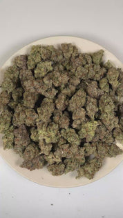 PUFFY Gelato 33 is a balanced hybrid THCa strain bred from the exceptional pairing of Sunset Sherbet and Thin Mint GSC. The aroma opens with bold fuel and cool mint, finishing with a fresh, earthy herbal undertone. Visually, dense deep forest green buds with purple hues and fiery orange pistils are coated in sticky trichomes. Consumers often report euphoric, uplifting effects that promote mental clarity, elevate mood, ease stress, and enhance creativity and social interaction. 