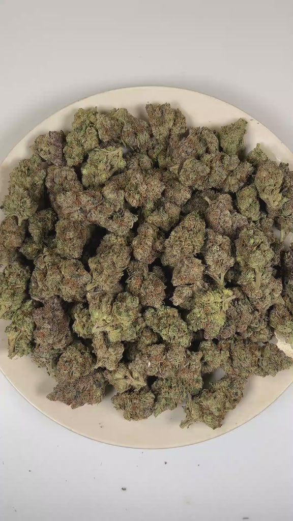 PUFFY Gelato 33 is a balanced hybrid THCa strain bred from the exceptional pairing of Sunset Sherbet and Thin Mint GSC. The aroma opens with bold fuel and cool mint, finishing with a fresh, earthy herbal undertone. Visually, dense deep forest green buds with purple hues and fiery orange pistils are coated in sticky trichomes. Consumers often report euphoric, uplifting effects that promote mental clarity, elevate mood, ease stress, and enhance creativity and social interaction. 