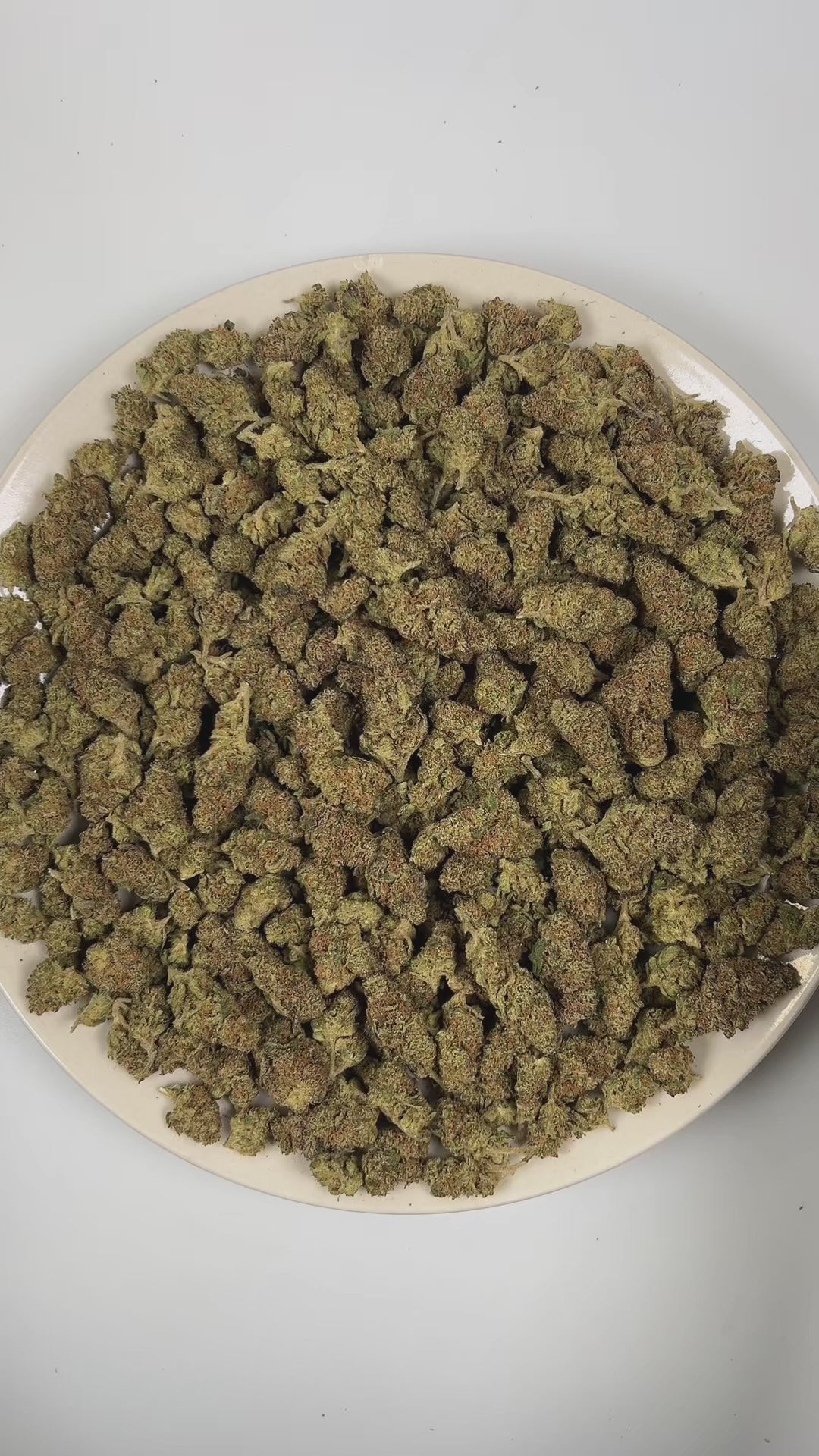 PUFFY Glitter Bomb is an indica-dominant hybrid THCa strain born from the flavorful cross of Grape Gas #10 and OGKB Blueberry Headband. The aroma is a vibrant blend of fruity sweetness, layered with gassy undertones and a refreshing hint of tropical notes. Visually, the buds are dense and deep forest green with striking purple hues, bright orange pistils, and a heavy coating of sparkling white trichomes. Consumers report a bright rush of cerebral uplift that gently settles into a soothing, full-body calm, l