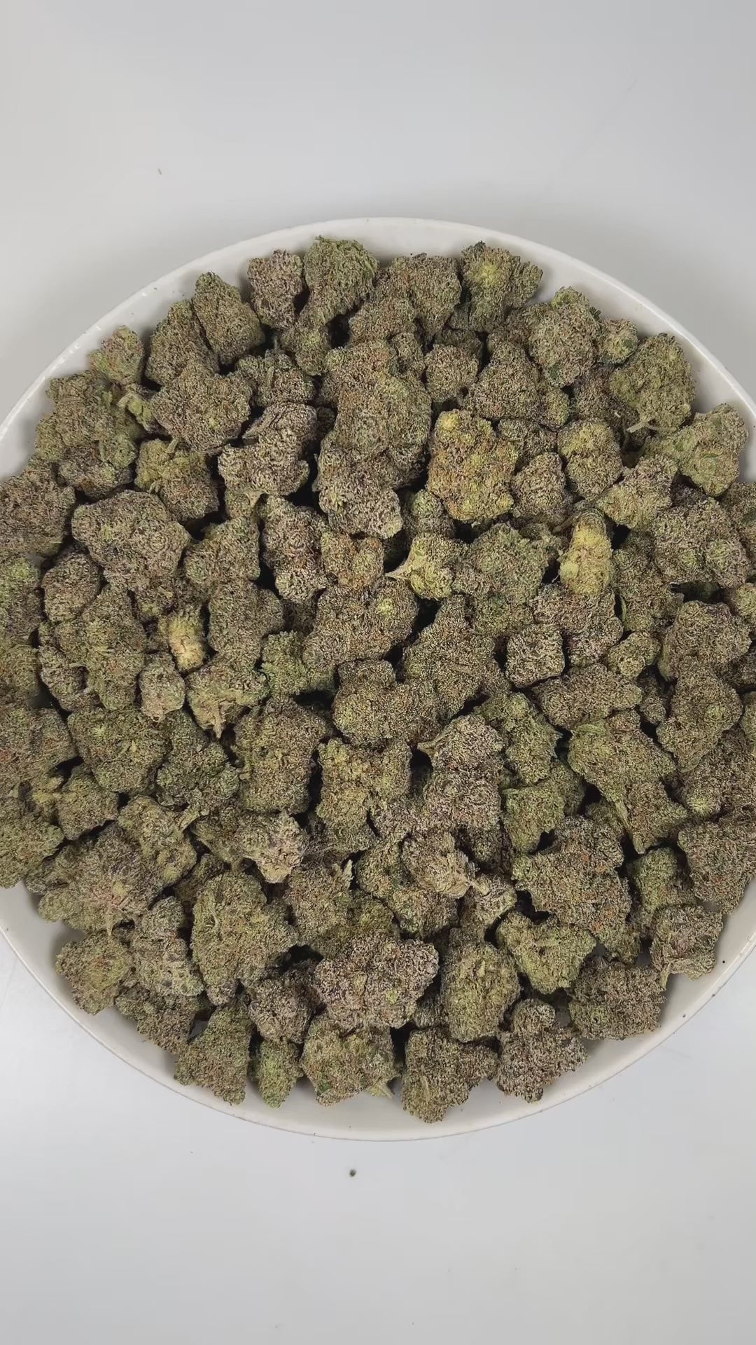 PUFFY Black Jack is a balanced hybrid THCa strain, expertly bred from the dynamic pairing of Black Domina and Jack Herer. The aroma is a sharp blend of zesty citrus, fresh pine, and pungent diesel, delivering an energizing punch. Visually, dense forest-green buds with hints of purple are threaded with fiery orange pistils and coated in a sparkling layer of sticky trichomes. Consumers often report a blissful sense of euphoria paired with calm relaxation, heightened focus, and a refreshing mental clarity.