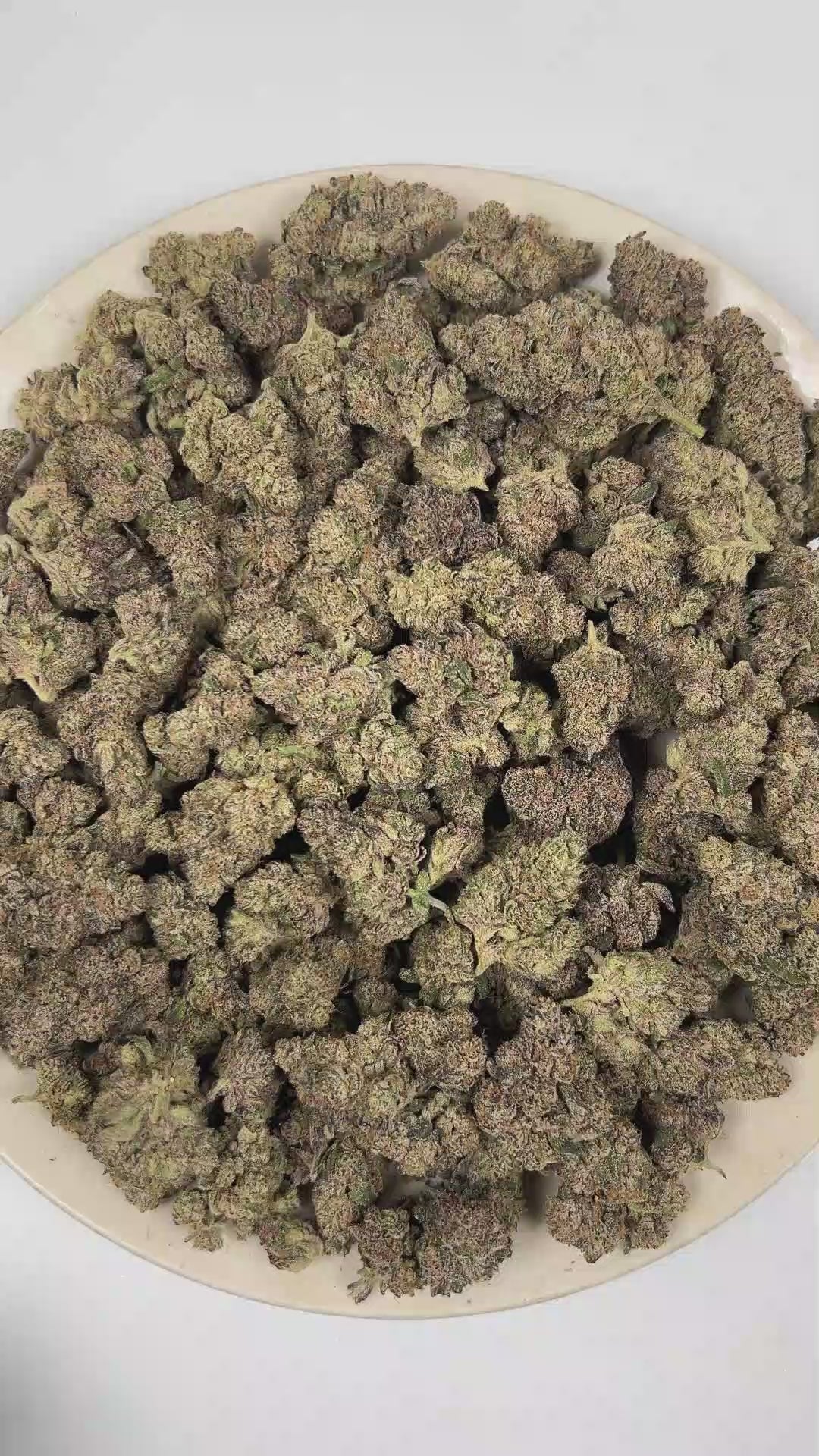 PUFFY Dirty 30 is a balanced hybrid THCa strain created through the masterful blending of GMO Cookies × Cookies N Cream F2. The aroma opens with crisp pine, followed by earthy skunk and a robust diesel-like fuel finish. Visually, dense forest green buds with purple hues and fiery orange pistils are coated in sticky trichomes. Consumers often report a euphoric, invigorating, and uplifting experience that enhances creative focus before gradually transitioning into a gentle, full-body relaxation. 