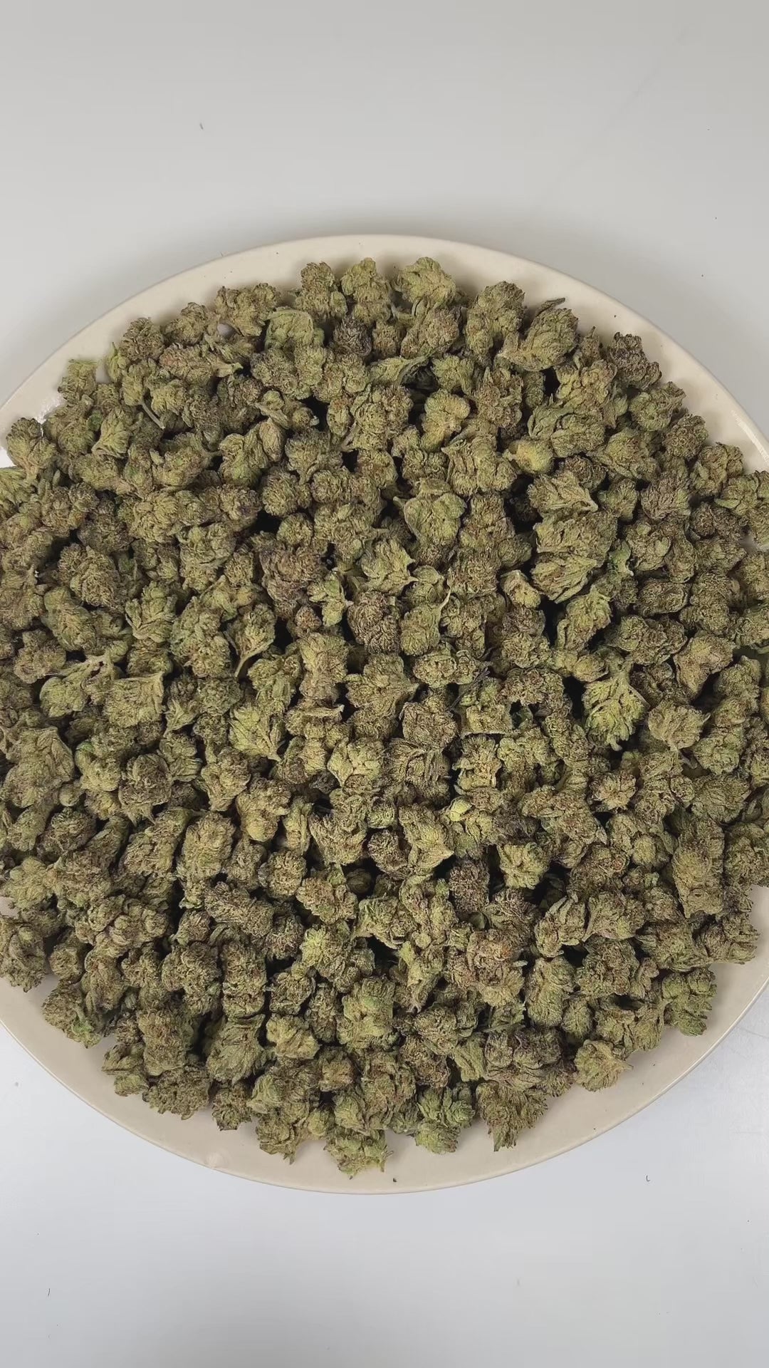 PUFFY Jelly Cake (smalls) is an indica-dominant hybrid THCa strain resulting from a masterful cross between Biscotti and Sunset Sherbet. The aroma unfolds with a delightful blend of fruity sweetness, smooth vanilla, and rich creamy notes. The buds are dense and chunky with deep green and purple hues, bright orange pistils, and a thick layer of sticky white trichomes. Consumers frequently describe a euphoric mental uplift that slowly transitions into soothing, full-body calm, often leaving them cheerful, mel
