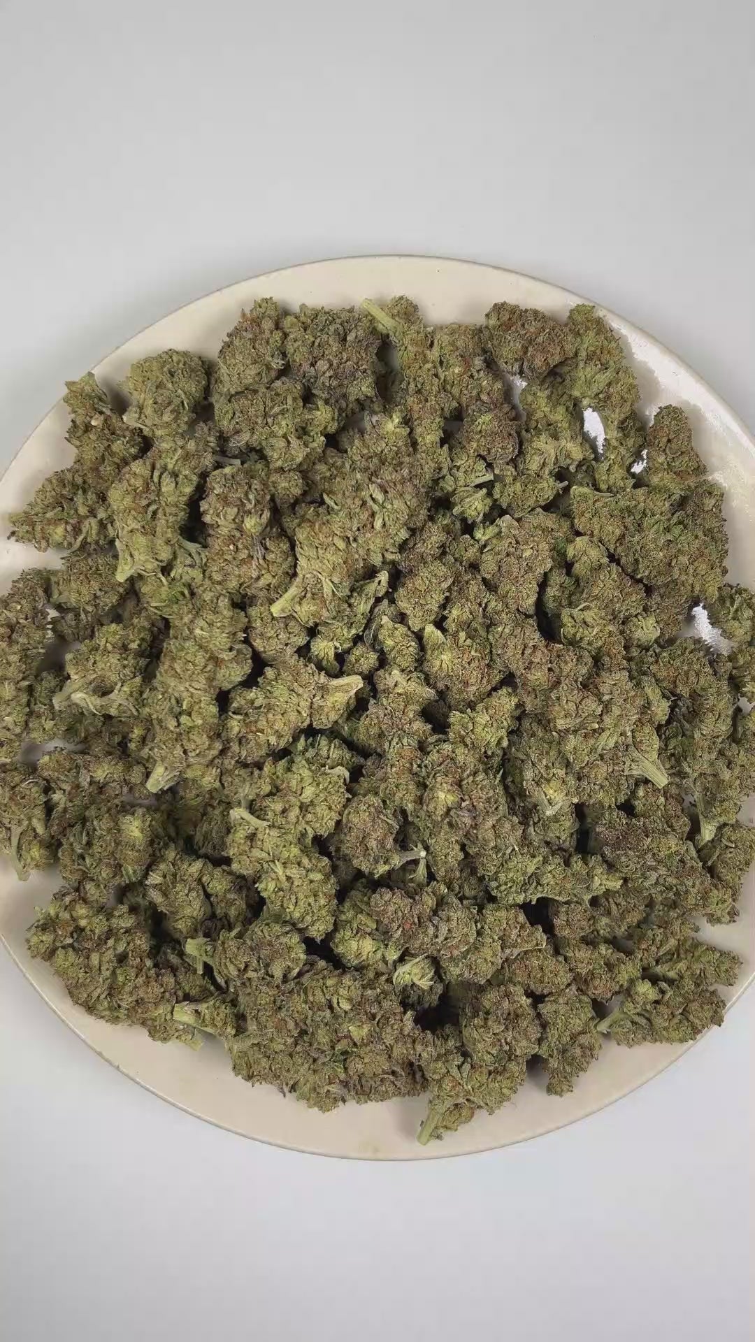Biscotti THCa Flower (Indoor) (Indica Hybrid) – 3