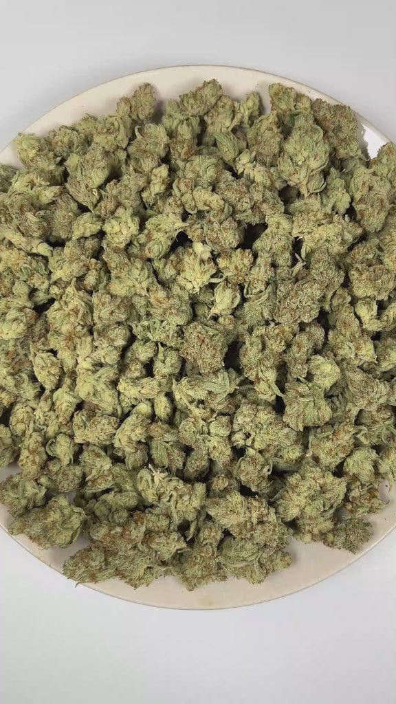 PUFFY Cloud Candy (smalls) is a balanced hybrid THCa strain whose exact genetic lineage has not been publicly confirmed, leaving its true parentage unknown. The aroma bursts with vibrant fruity sweetness and juicy tropical notes, creating a bright, exotic fragrance that finishes with a bold, mouthwatering sour twist. Visually, dense forest green buds with purple hues and fiery orange pistils are coated in sticky trichomes. Consumers often report an uplifting wave of euphoria that inspires creativity while g