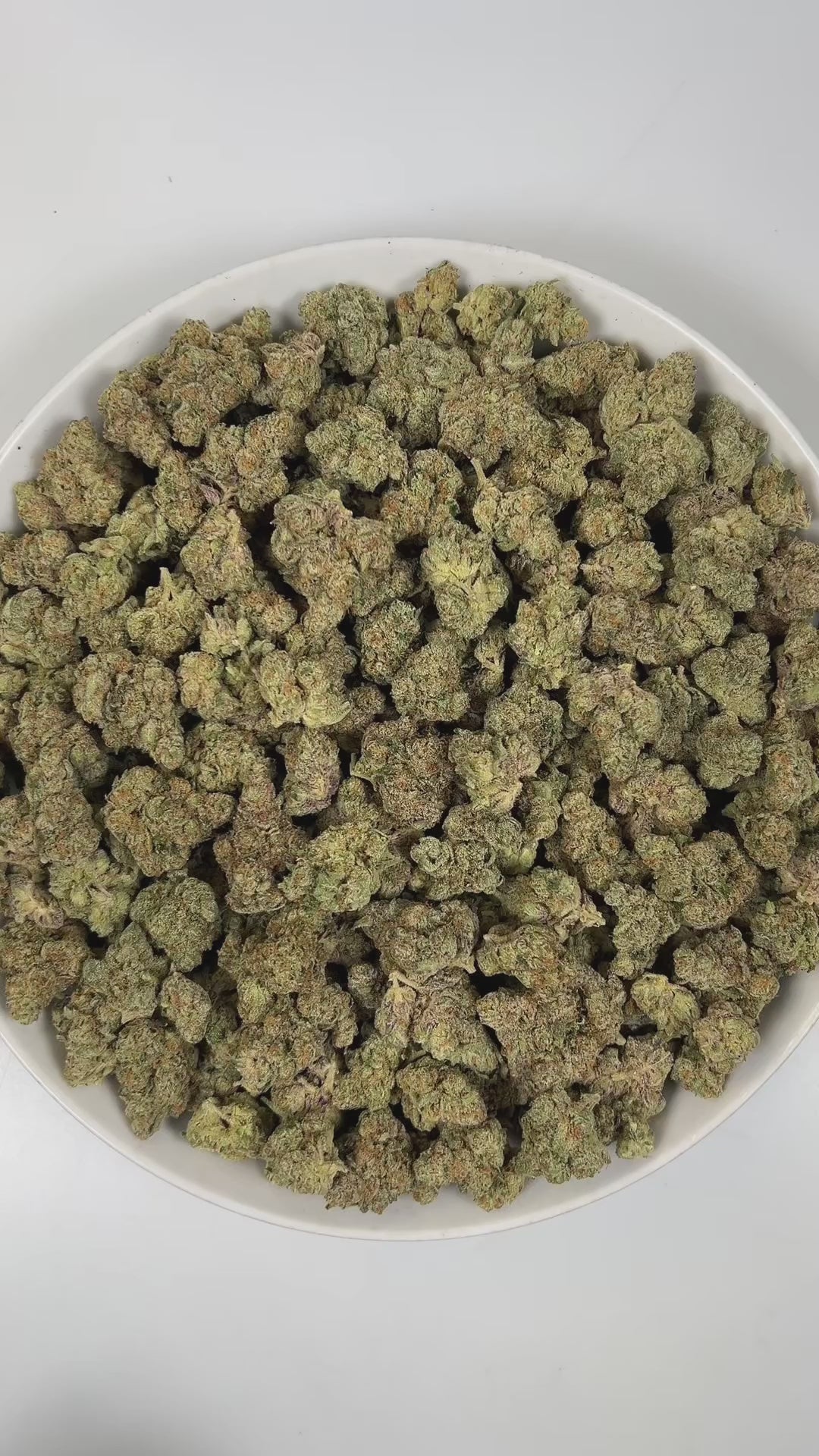 PUFFY Elmer’s Glue is a balanced hybrid THCa strain, created from the iconic pairing of GG4 (Gorilla Glue 4) and The White. The aroma is a vibrant mix of fruity, funky, and gassy notes, leaving a bold and distinctive scent. Visually, dense forest-green buds with hints of purple are threaded with fiery orange pistils and coated in a sparkling layer of sticky trichomes. Consumers often report experiencing a euphoric sense of well-being, paired with deep relaxation and heightened focus, while also feeling upli