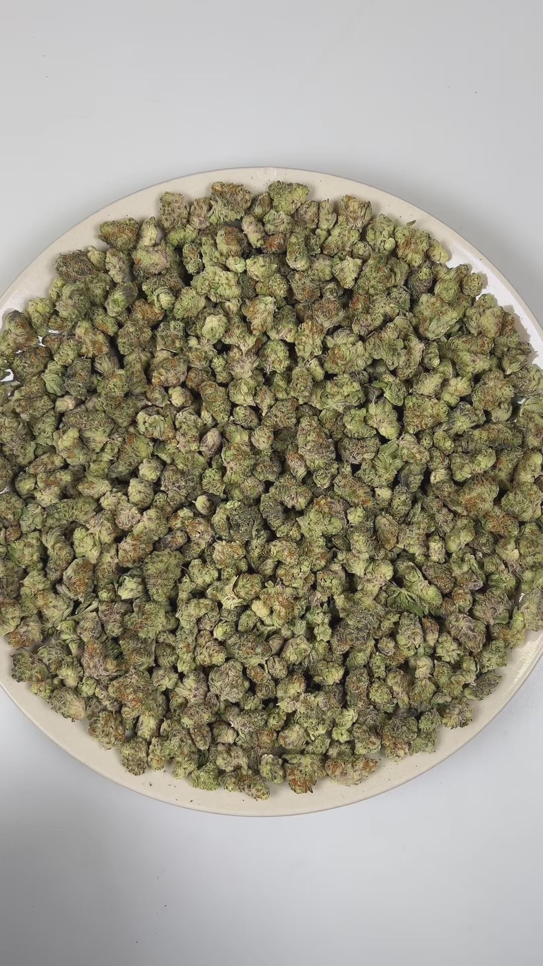 PUFFY Sunset Spice (smalls) is a balanced hybrid THCa strain believed to carry influence from Cookies, Sherbet, and Kush-style genetics without being tied to any single, defined lineage. The aroma is defined by rich herbal notes layered with warm spices and bright citrus undertones. Visually, dense forest green buds with purple hues and fiery orange pistils are coated in sticky trichomes. Consumers often report experiencing euphoria, enhanced focus, and an uplifting mental clarity, accompanied by a deeply s