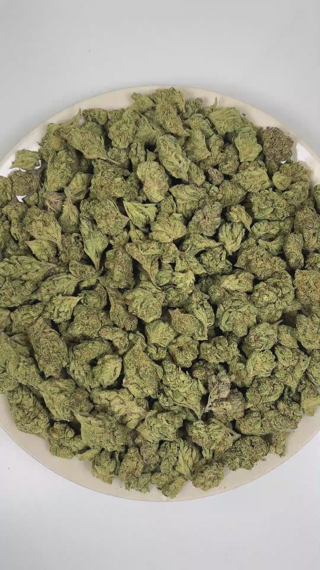 Octane THCa Flower (Premium Indoor) (Hybrid) – 3