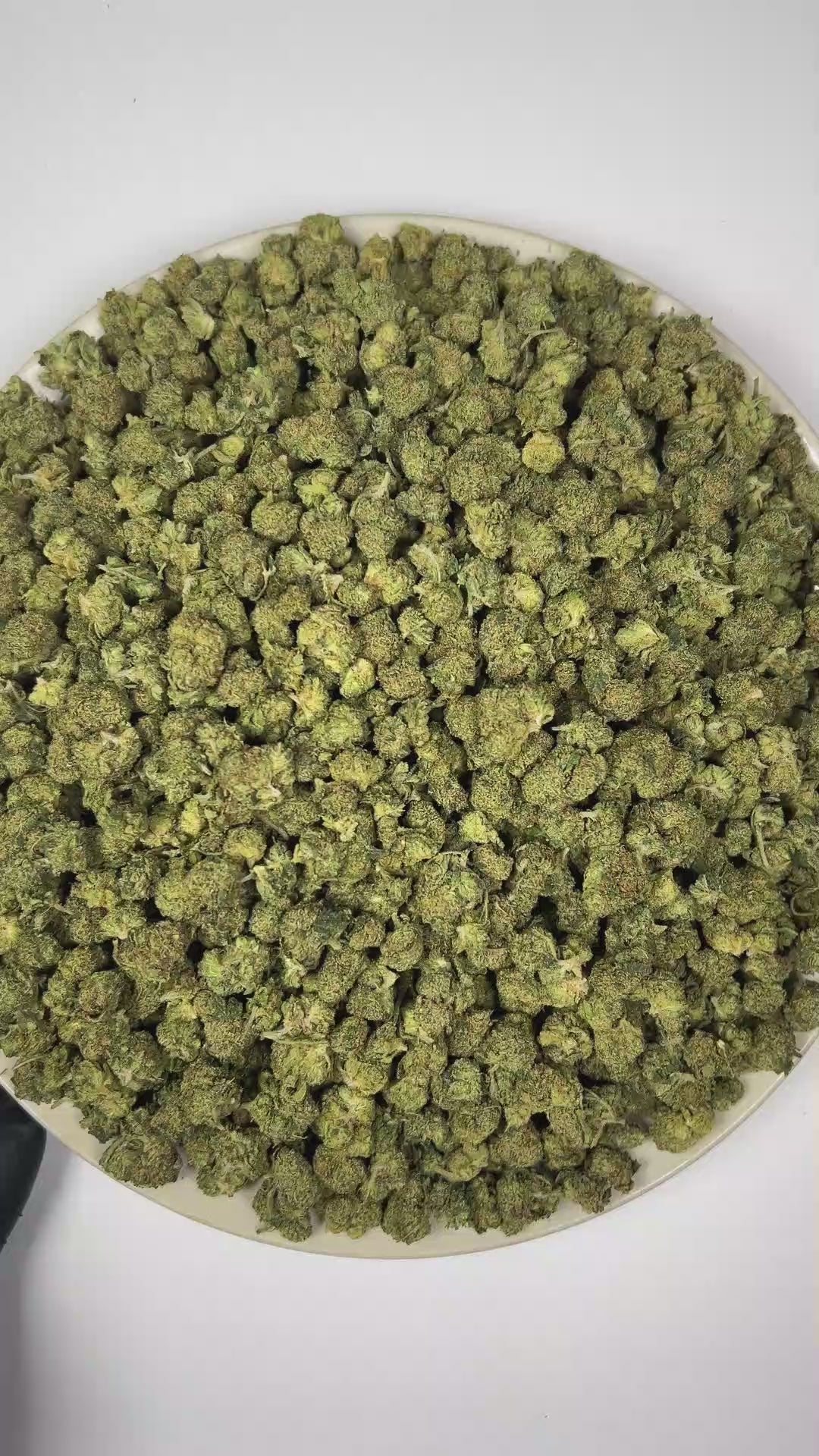 PUFFY Giraffe P (smalls) is a balanced hybrid THCa strain emerging from the complex union of Original Z and Animal Mints. The aroma opens with a rich, cookie-like sweetness, complemented by luscious apricot notes and the juicy, fruity essence of ripe cherries. Visually, dense forest green buds with purple hues and fiery orange pistils are coated in sticky trichomes. Consumers often report euphoric and uplifting effects accompanied by enhanced creativity and increased energy.