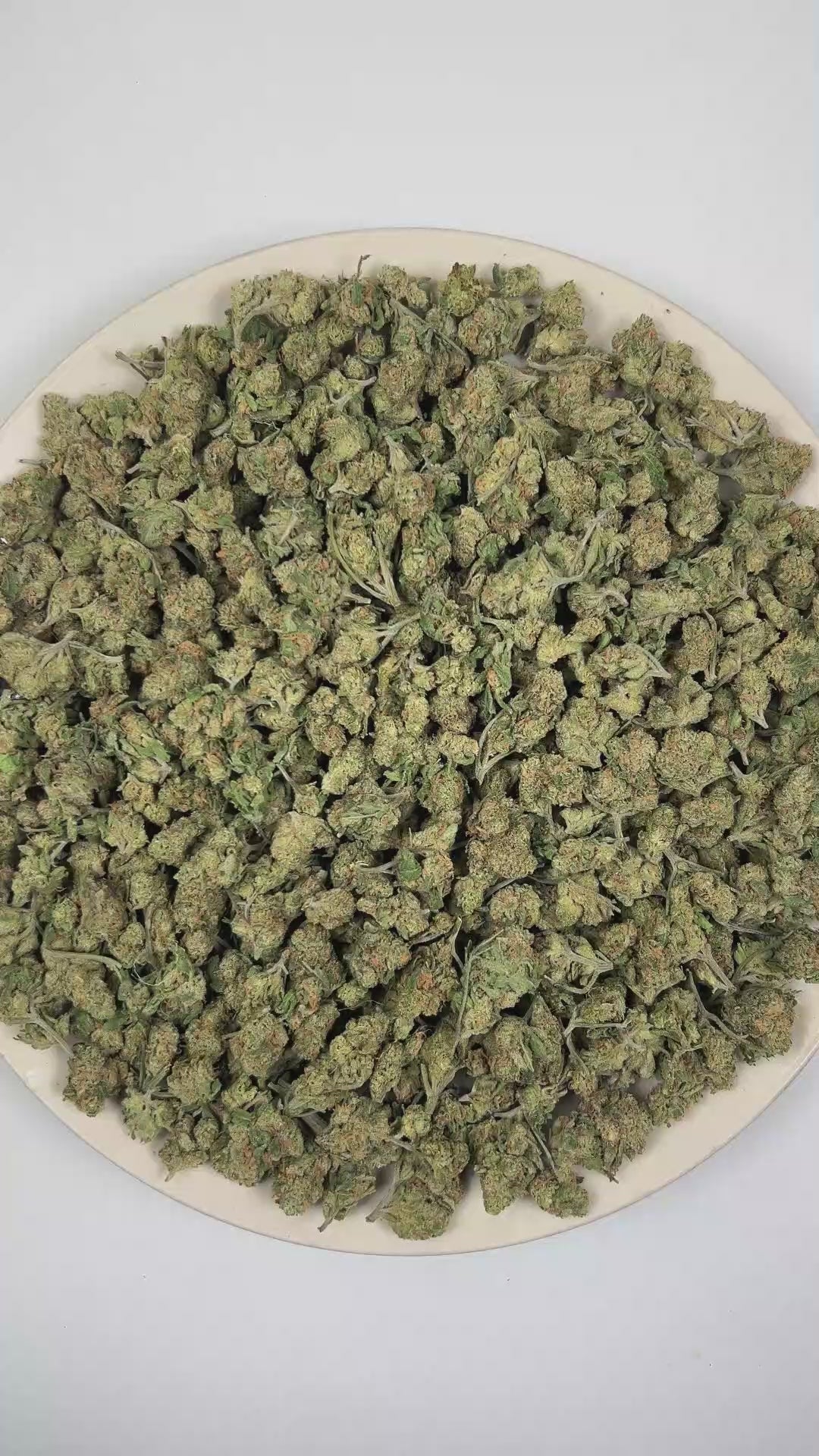 PUFFY Jolly Rancher (smalls) is a balanced hybrid THCa strain resulting from the strategic pairing of Purple Punch and Aloha Grape Stomper. The aroma bursts with sweet candy-like notes layered over ripe grape and juicy berry undertones. Visually, dense forest green buds with purple hues and fiery orange pistils are coated in sticky trichomes. Consumers often report an uplifting euphoric mood boost paired with heightened mental clarity and inspired thinking, along with a relaxing body sensation and sociable,