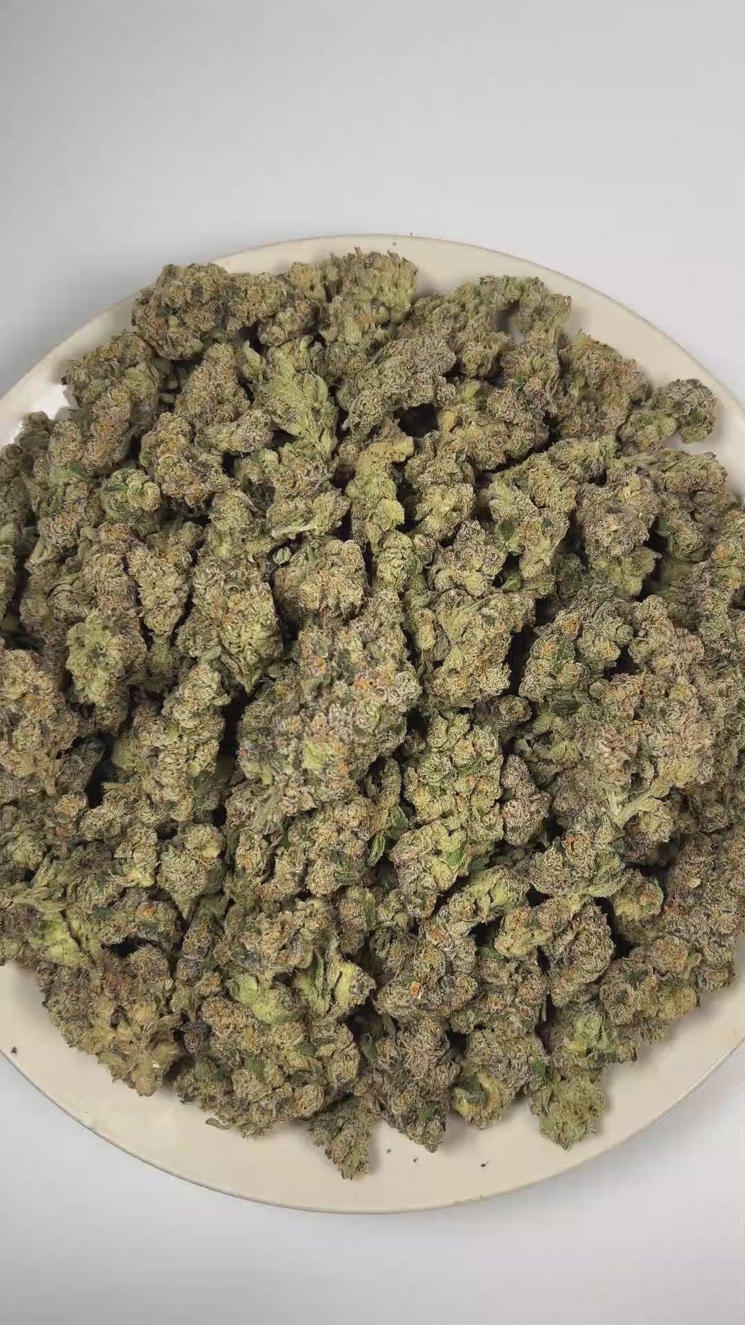 PUFFY High Octane is a balanced hybrid THCa strain bred from a distinguished lineage of Sunset Sherbet and Octane. The aroma is driven by pungent diesel and skunky notes, delivering a bold, fuel-forward finish. Visually, dense forest green buds with purple hues and fiery orange pistils are coated in sticky trichomes. Consumers often report feeling euphoric and deeply relaxed, while also experiencing a boost in creativity, focus, and appetite. 