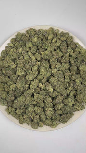 PUFFY Gelato Crush is a balanced hybrid THCa strain with a layered lineage derived from Sunset Sherbet, Thin Mint GSC (via Gelato), and a cantaloupe melon–influenced cultivar. Aroma is a sharp blend of fresh pine resin, gassy diesel fumes, and bright tropical fruit notes. Visually, dense forest green buds with purple hues and fiery orange pistils are coated in sticky trichomes. Consumers often report an uplifting euphoric mental state accompanied by a calm, relaxed body feel, often resulting in a more open 