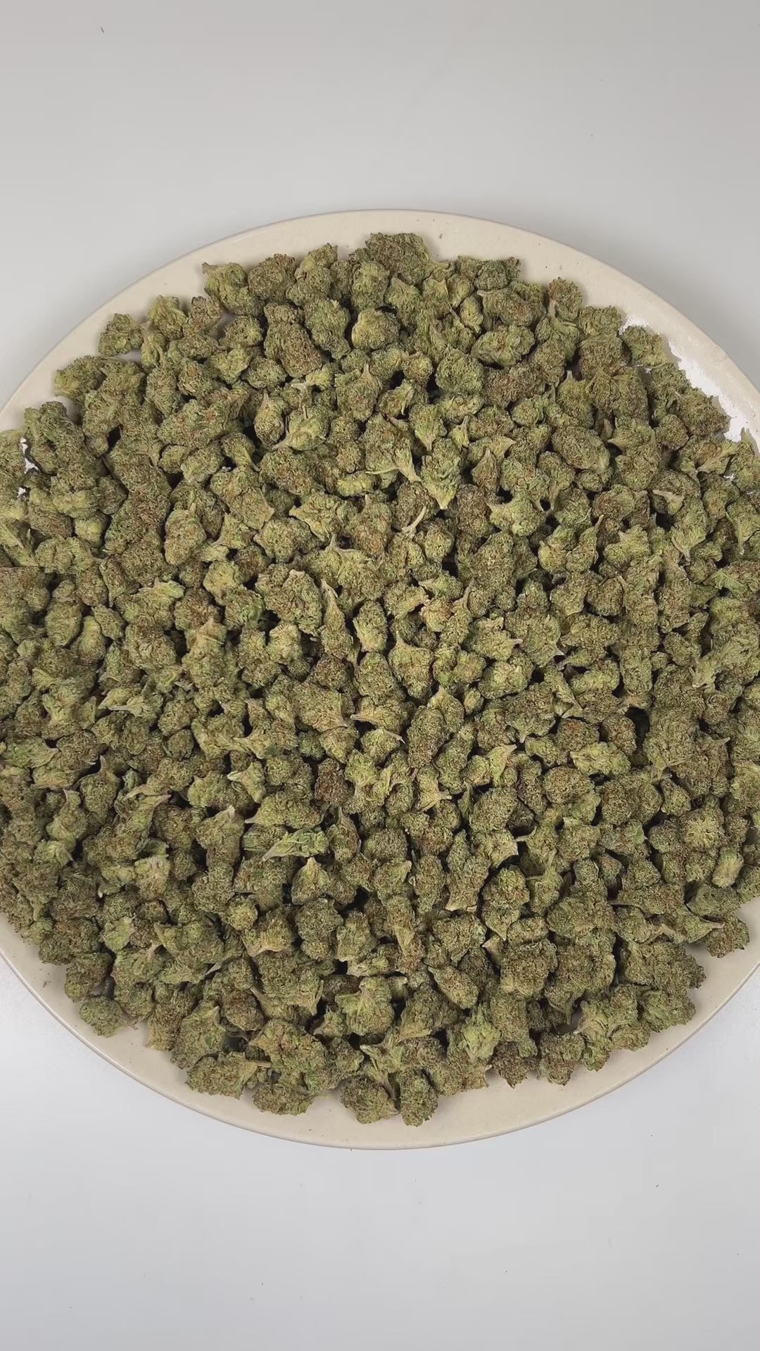 PUFFY Apricot (smalls) is a balanced hybrid THCa strain bred from the flavorful union of Purple Punch and Orange Apricot. The aroma is a rich blend of classic kush notes layered with pungent gassy undertones and a subtle floral sweetness. Visually, dense deep green buds with purple hues and fiery orange pistils are coated in sticky trichomes. Consumers often report an energetic, social onset with euphoric uplift and lighthearted laughter, gradually settling into a relaxed body feel with a lightly creative, 