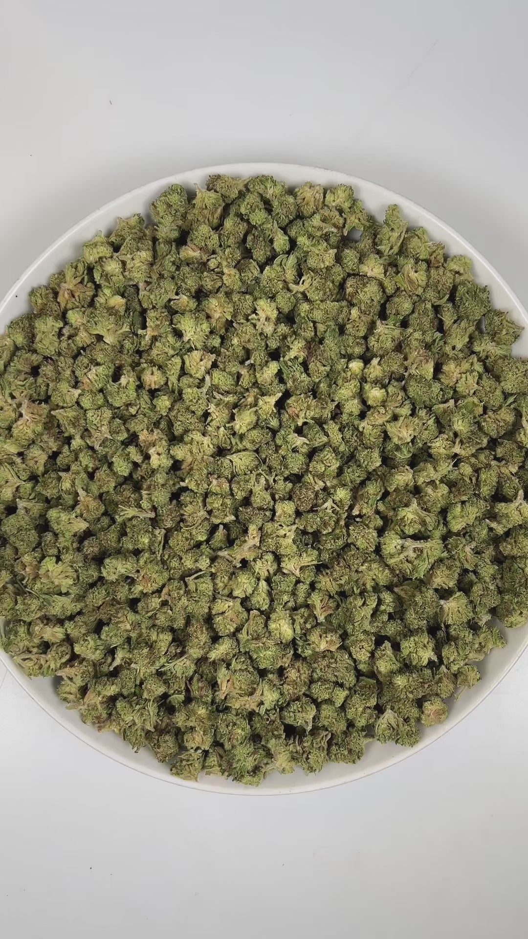 PUFFY Truffle Butter (smalls) is an Indica-dominant hybrid THCa strain, born from the flavorful cross of Gelato and Chocolate Kush. The aroma is a rich, creamy blend with soothing herbal undertones and a subtle buttery note. Visually, the buds are dense and striking, showcasing a deep forest-green base with vibrant purple hues, bright orange pistils, and a sparkling coating of trichomes. Consumers often report an initial burst of euphoria and uplifted mood, gradually giving way to deep physical relaxation, 