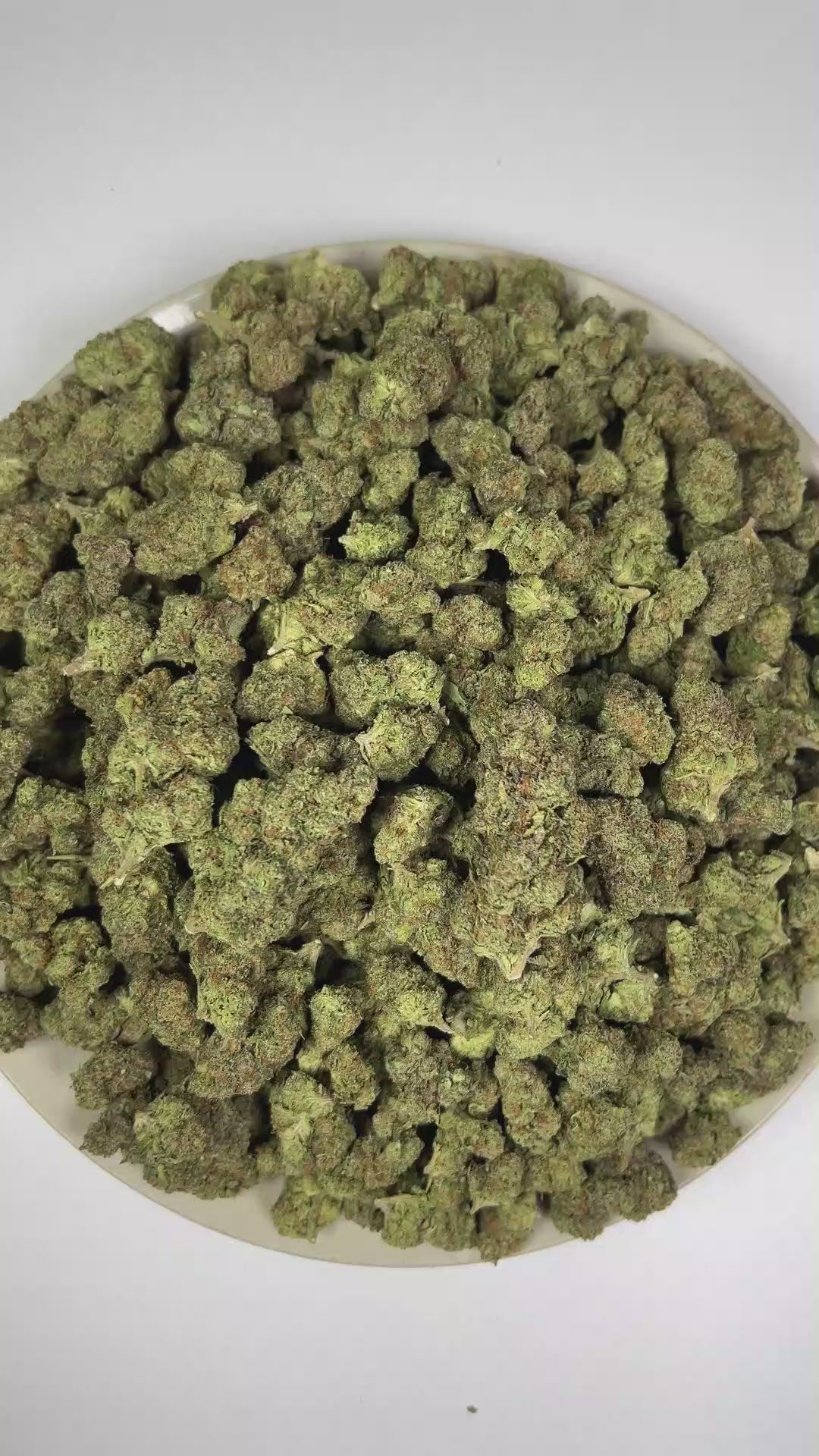 PUFFY Permanent Marker is an indica-dominant hybrid THCa strain, born from the complex cross of Biscotti, Jealousy, and Sherbet BX. The aroma features rich tobacco notes blended with pungent fuel undertones and delicate floral accents. Visually, dense forest green buds with purple hues and fiery orange pistils are coated in sticky trichomes. Consumers often report a blissful euphoria that uplifts the mood, sparks creativity, creates gentle tingling sensations, and envelops the body in deep, relaxing calm.  