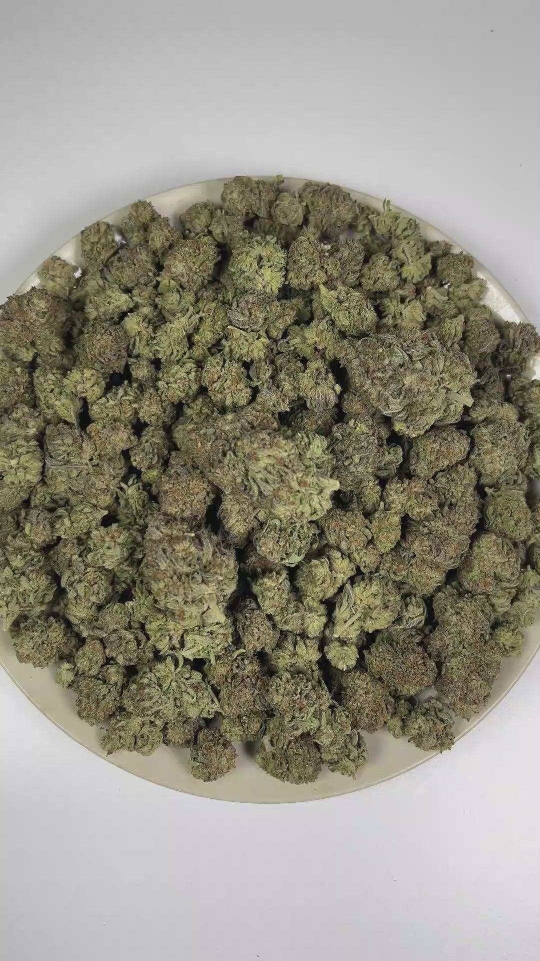 PUFFY Truffle Butter is an Indica-dominant hybrid THCa strain, born from the flavorful cross of Gelato and Chocolate Kush. The aroma is rich and creamy, blending buttery notes with smooth vanilla and sweet, freshly baked batter. Visually, the buds are dense and striking, showcasing a deep forest-green base with vibrant purple hues, bright orange pistils, and a sparkling coating of trichomes. Consumers often report an initial burst of euphoria and uplifted mood, gradually giving way to deep physical relaxati