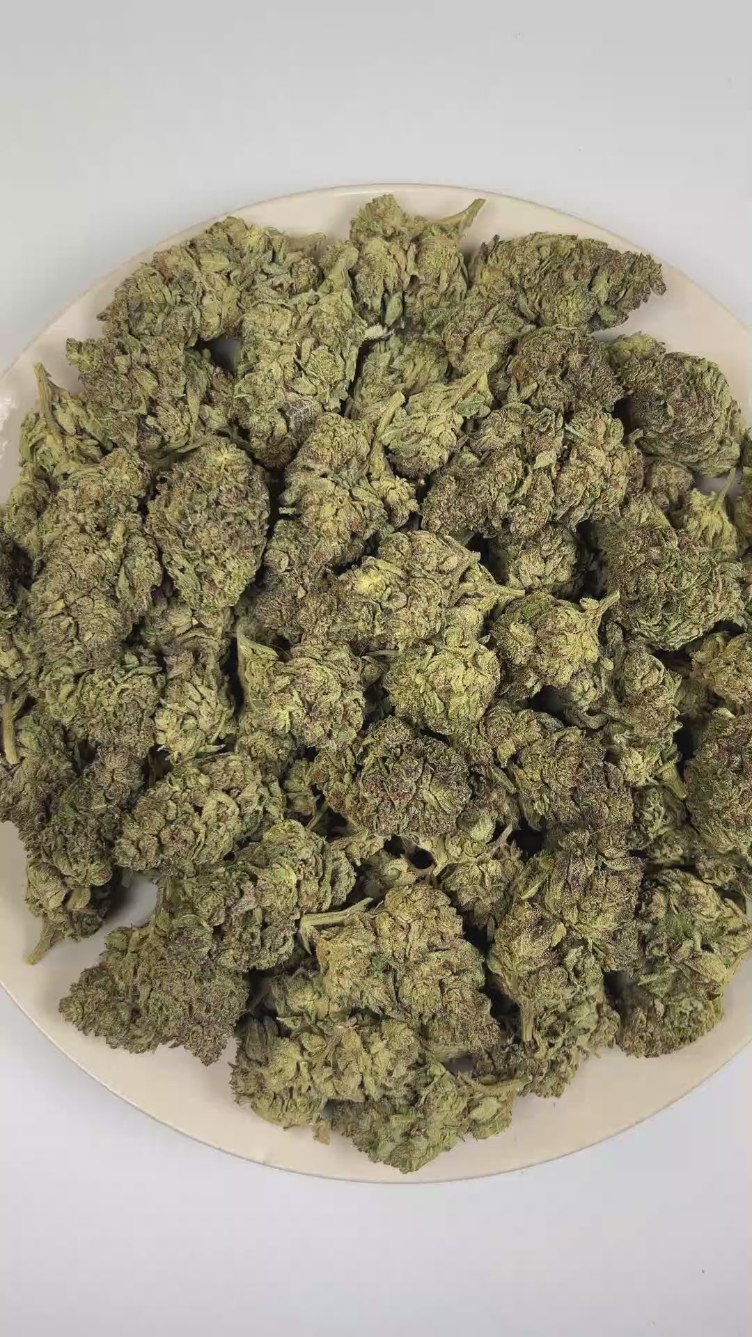 PUFFY Candy Jelly is a balanced hybrid THCa strain featuring an unreleased genetic blend, widely believed to originate from a combination of sweet, candy-inspired, and fruit-forward modern varieties. The aroma opens with a vibrant blend of sweet candy and juicy tropical fruit, layered with a bold gassy finish. Visually, dense lush green buds with purple hues and fiery orange pistils are coated in sticky trichomes. Consumers often report feeling euphoric, cheerful, and inspired, followed by a calm, relaxed s