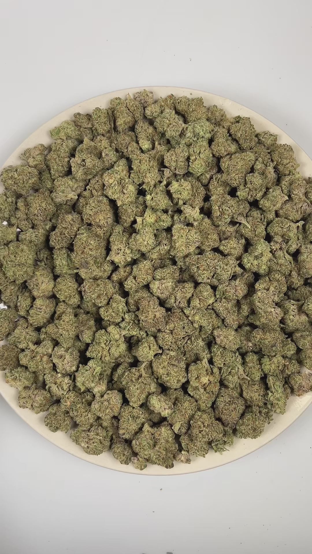 PUFFY Cookies and Cream is a well-balanced hybrid THCa strain crafted from the legendary Starfighter and a rare, secret GSC (Girl Scout Cookies) phenotype. The aroma is rich and indulgent, blending notes of chocolate, coffee, and cream into a smooth, dessert-like profile. Visually, dense forest green buds with purple hues and fiery orange pistils are coated in sticky trichomes. Consumers often report feeling euphoric, relaxed, and uplifted, with enhanced sociability and an overall mood-boosting effect that 