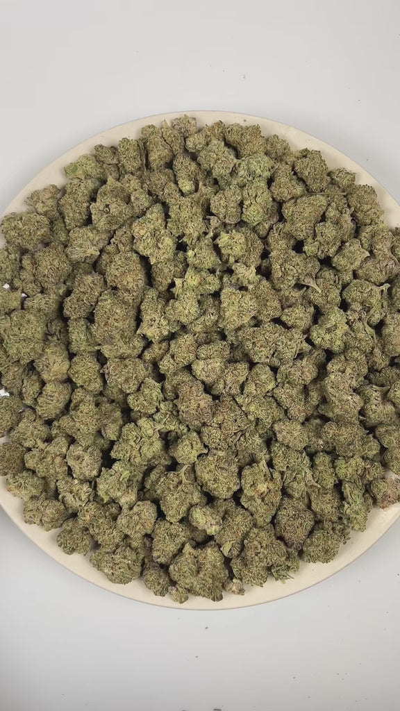 PUFFY Cookies and Cream is a well-balanced hybrid THCa strain crafted from the legendary Starfighter and a rare, secret GSC (Girl Scout Cookies) phenotype. The aroma is rich and indulgent, blending notes of chocolate, coffee, and cream into a smooth, dessert-like profile. Visually, dense forest green buds with purple hues and fiery orange pistils are coated in sticky trichomes. Consumers often report feeling euphoric, relaxed, and uplifted, with enhanced sociability and an overall mood-boosting effect that 