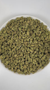 PUFFY Jack Diesel (smalls) is a sativa-dominant hybrid THCa strain bred from the iconic pairing of Jack Herer and NYC Diesel. The aroma is a bold fusion of sharp chemicals, zesty citrus, and pungent diesel, creating a striking and memorable scent profile. Visually, dense spring-green buds with hints of purple are threaded with fiery orange pistils and coated in a sparkling layer of sticky trichomes. Consumers often report feeling euphoric, energized, and creatively inspired, with an overall sense of uplifte