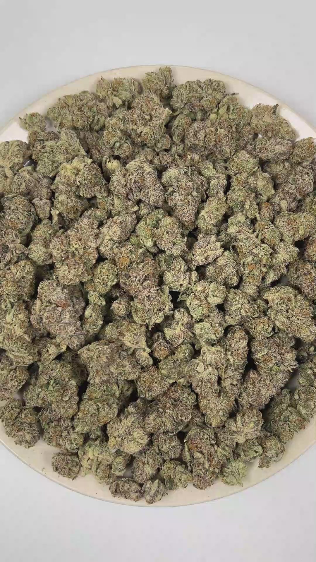 PUFFY Tropical Runtz is a sativa-dominant hybrid THCa strain developed by combining the renowned genetics of Runtz and Tropic Truffle. The aroma blends sweet fragrant notes with juicy berries and a pronounced funky undertone. Visually, dense forest green buds with purple hues and fiery orange pistils are coated in sticky trichomes. Consumers often report an uplifting wave of euphoria that sparks creativity, sharpens focus, encourages sociability, and gradually settles into a calm, deeply relaxed state. 