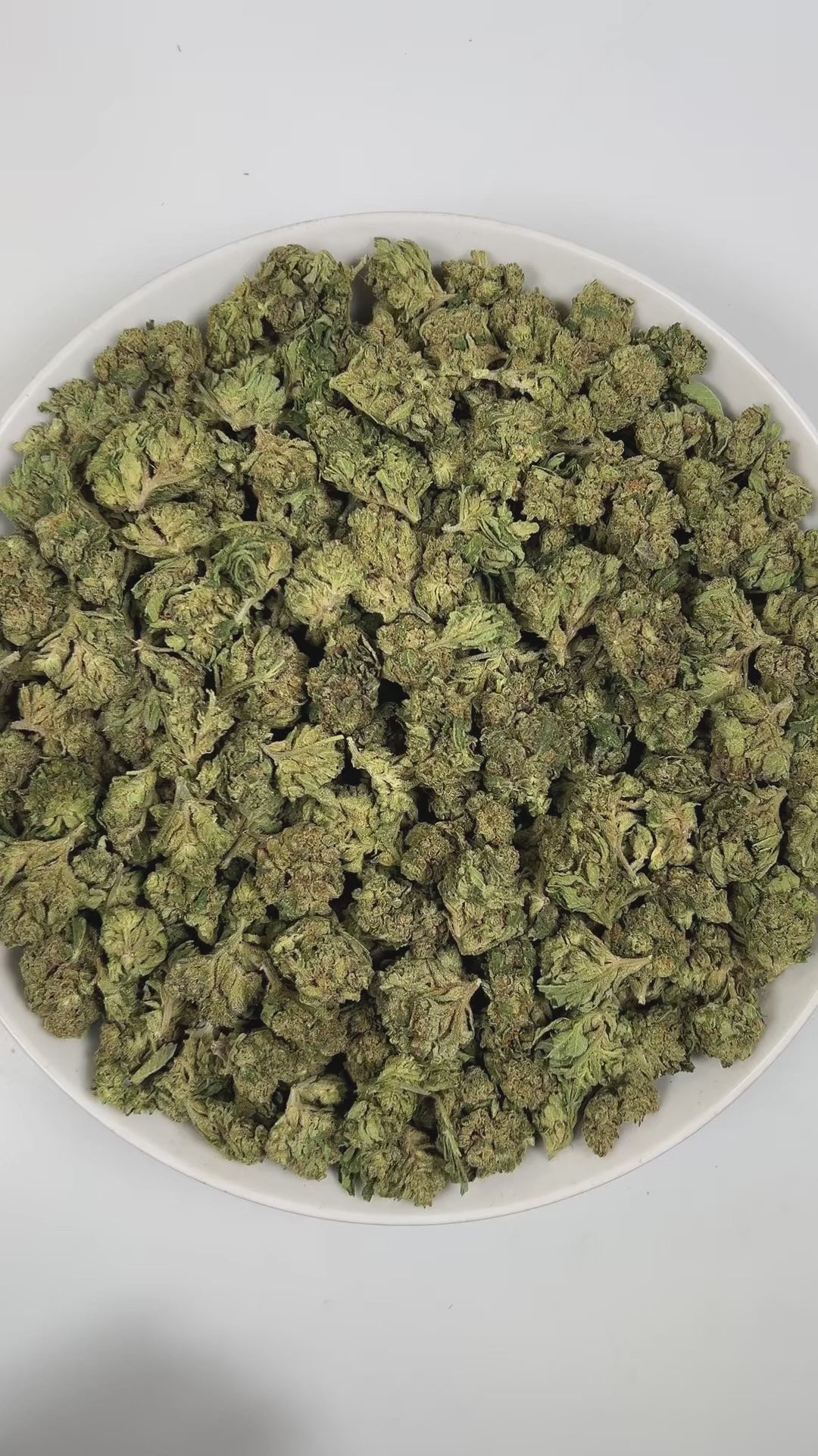 PUFFY Grape Spritzer is a sativa-dominant hybrid THCa strain, expertly crafted from a potent cross between Spritzer and Grape Gasoline. The aroma is a pungent mix of gassy undertones, zesty citrus, and fresh herbal notes. Visually, dense green buds with hints of purple are threaded with fiery orange pistils and coated in a sparkling layer of sticky trichomes. Consumers often report feeling a sharp, invigorating mental boost that clears the mind, sharpens focus, and fuels productivity, leaving them energized