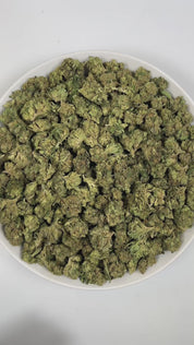 PUFFY Grape Spritzer is a sativa-dominant hybrid THCa strain, expertly crafted from a potent cross between Spritzer and Grape Gasoline. The aroma is a pungent mix of gassy undertones, zesty citrus, and fresh herbal notes. Visually, dense green buds with hints of purple are threaded with fiery orange pistils and coated in a sparkling layer of sticky trichomes. Consumers often report feeling a sharp, invigorating mental boost that clears the mind, sharpens focus, and fuels productivity, leaving them energized