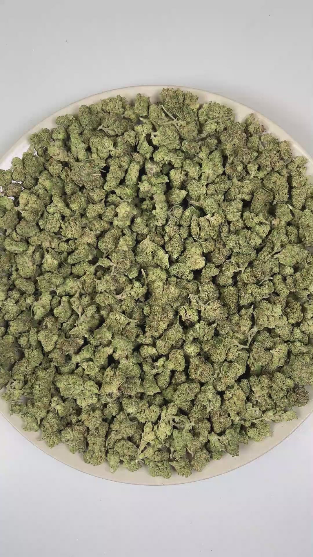 PUFFY Cream Pie (smalls) is an indica-dominant hybrid THCa strain bred from the exceptional pairing of Wedding Cake and Triangle Kush. The aroma is a delightful blend of sweet cookies, subtle herbal notes, and a juicy hint of ripe peach. Visually, dense spring green buds with purple hues and fiery orange pistils are coated in sticky trichomes. Consumers often report a euphoric and uplifting cerebral buzz followed by smooth body relaxation, creating a calming, stress-relieving experience that can ease tensio