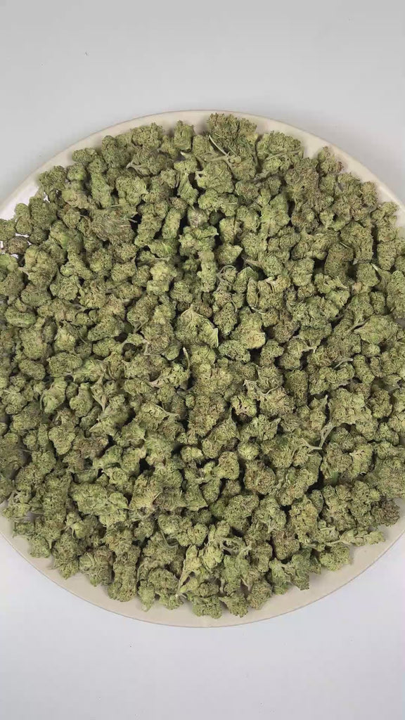 PUFFY Cream Pie (smalls) is an indica-dominant hybrid THCa strain bred from the exceptional pairing of Wedding Cake and Triangle Kush. The aroma is a delightful blend of sweet cookies, subtle herbal notes, and a juicy hint of ripe peach. Visually, dense spring green buds with purple hues and fiery orange pistils are coated in sticky trichomes. Consumers often report a euphoric and uplifting cerebral buzz followed by smooth body relaxation, creating a calming, stress-relieving experience that can ease tensio
