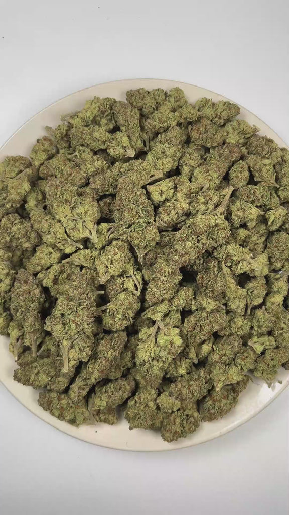 PUFFY Head Haze is a sativa-dominant hybrid THCa strain resulting from the expertly blended union of Brain OG and Tom Hill’s Haze. The aroma blends bright citrus notes with a pungent, gassy character, finishing with a delicate floral touch. Visually, dense forest green buds with purple hues and fiery orange pistils are coated in sticky trichomes. Consumers often report a euphoric, uplifting, and energetic experience that sparks creativity while delivering a soothing sense of body relaxation. 