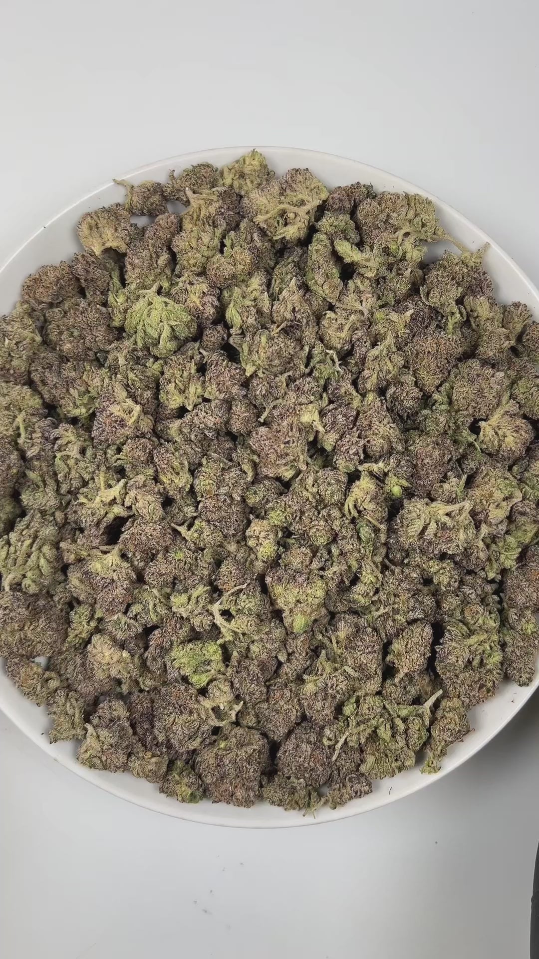 PUFFY Blue Diesel is a balanced hybrid THCa strain, born from the legendary cross between Blueberry and NYC Diesel. The aroma opens with sweet, ripe blueberry notes, blended with sharp diesel undertones and a lively, zesty finish. Visually, the buds are dense and vibrant, showcasing deep forest-green tones accented with subtle purple and indigo hues, bright orange pistils, and a generous coating of sparkling trichomes. Consumers often describe the effects as blissfully euphoric and uplifting, combined with 
