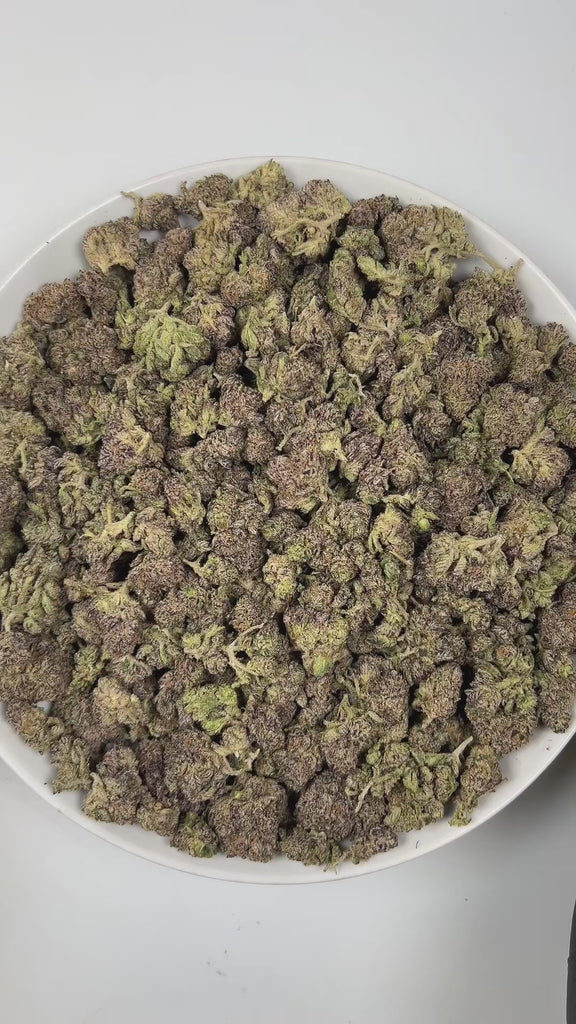 PUFFY Blue Diesel is a balanced hybrid THCa strain, born from the legendary cross between Blueberry and NYC Diesel. The aroma opens with sweet, ripe blueberry notes, blended with sharp diesel undertones and a lively, zesty finish. Visually, the buds are dense and vibrant, showcasing deep forest-green tones accented with subtle purple and indigo hues, bright orange pistils, and a generous coating of sparkling trichomes. Consumers often describe the effects as blissfully euphoric and uplifting, combined with 