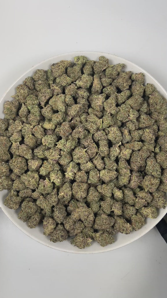 PUFFY Frosted Donut is an indica-dominant  hybrid THCa strain, expertly crafted from a potent cross between Girl Scout Cookies and Louis XIII. The aroma is a delightful blend of sweet berry, smooth vanilla, and fresh pine, creating a rich and inviting fragrance. Visually, the dense buds display bright green and deep purple hues, dotted with orange pistils and coated in sparkling trichomes. Consumers often report an initial euphoric and uplifting cerebral buzz that elevates mood, gradually transitioning into