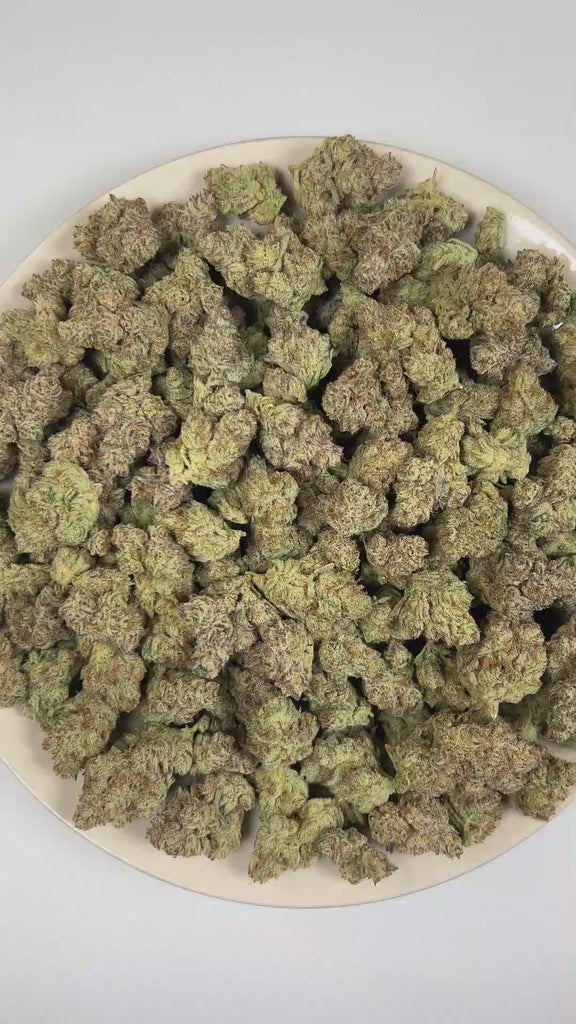 PUFFY Blue Agave is a balanced hybrid THCa strain emerging from the distinguished pairing of Blueberry and Agave. The aroma opens with sweet blueberries and ripe mixed berries, layered with a bright sour finish. Visually, dense forest green buds with purple hues and fiery orange pistils are coated in sticky trichomes. Consumers often report feeling euphoric, uplifted, relaxed, and calm, promoting a balanced mood, gentle mental clarity, and soothing physical comfort. 